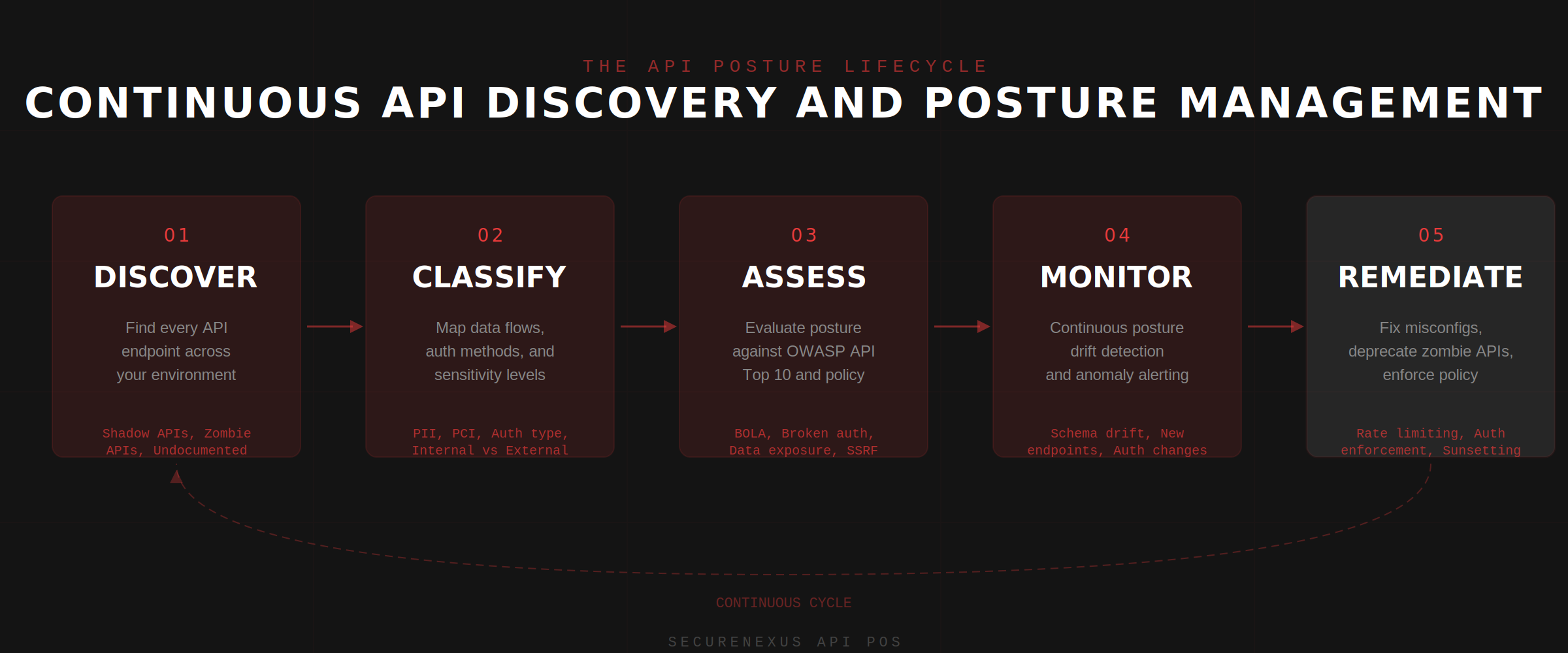 API Pulse lifecycle: continuous discovery, monitoring, and governance across the entire API ecosystem.